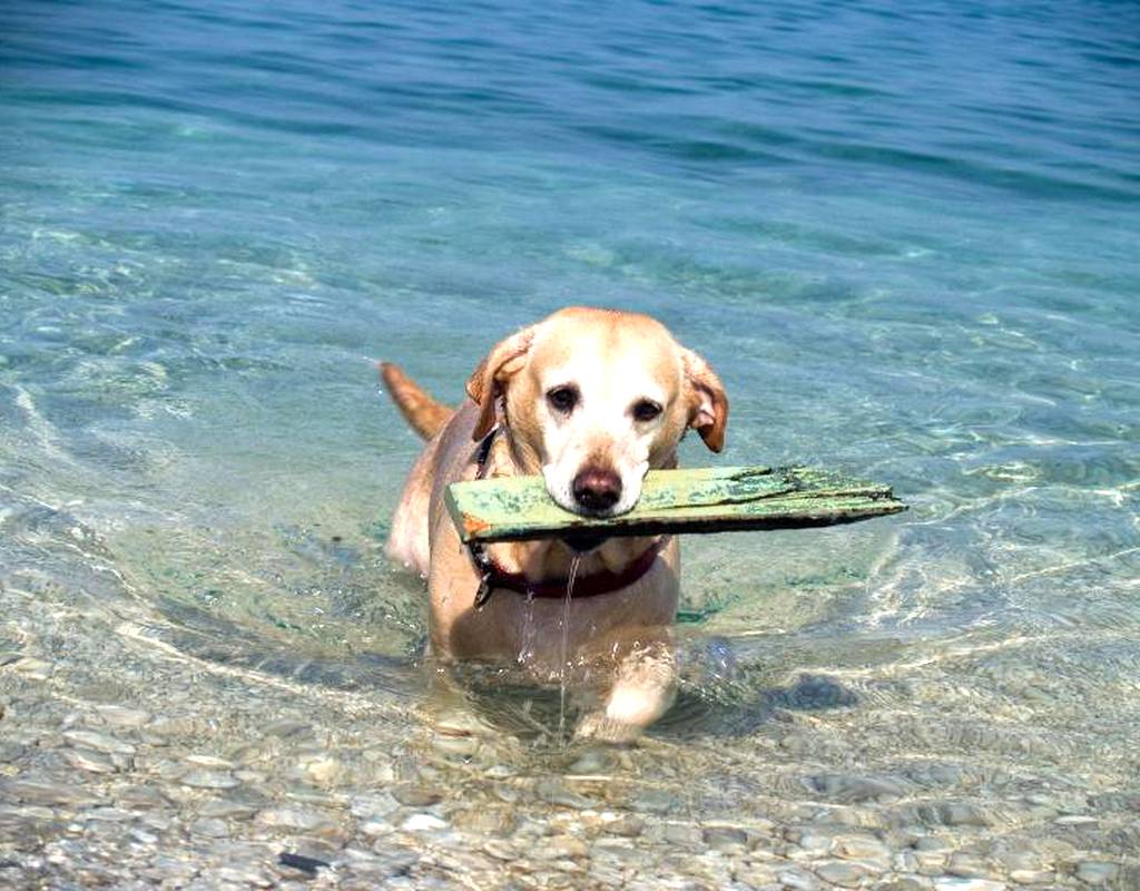 Spiaggia Porto Fido A Porto Quadro Santa Teresa Gallura