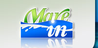 Homepage